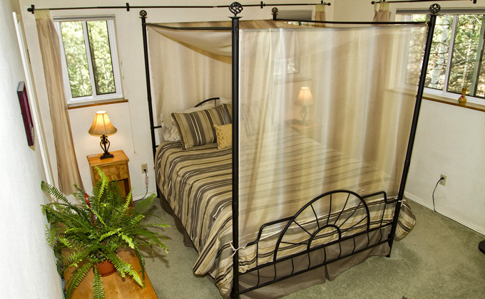Master Bedroom with Canopy Bed