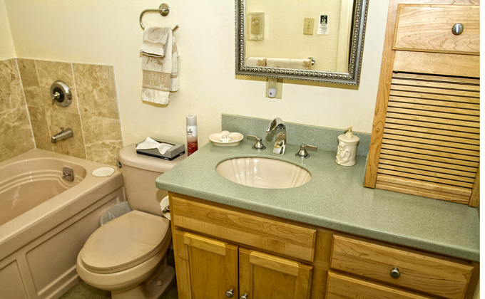 Guest Bathroom
