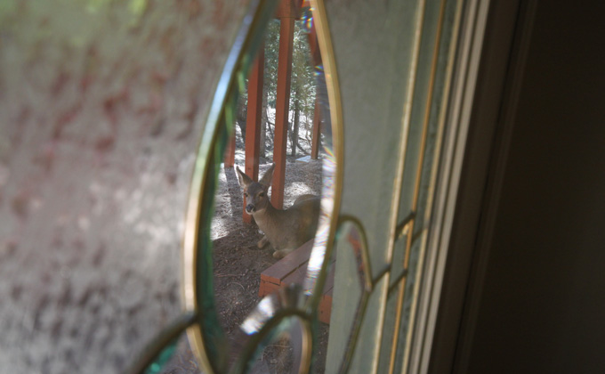 Nature's Beauty . . . right Outside your Door